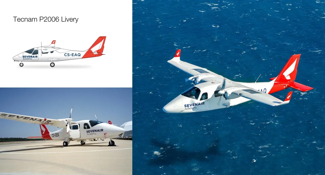 Tecnam 2006 Aircraft